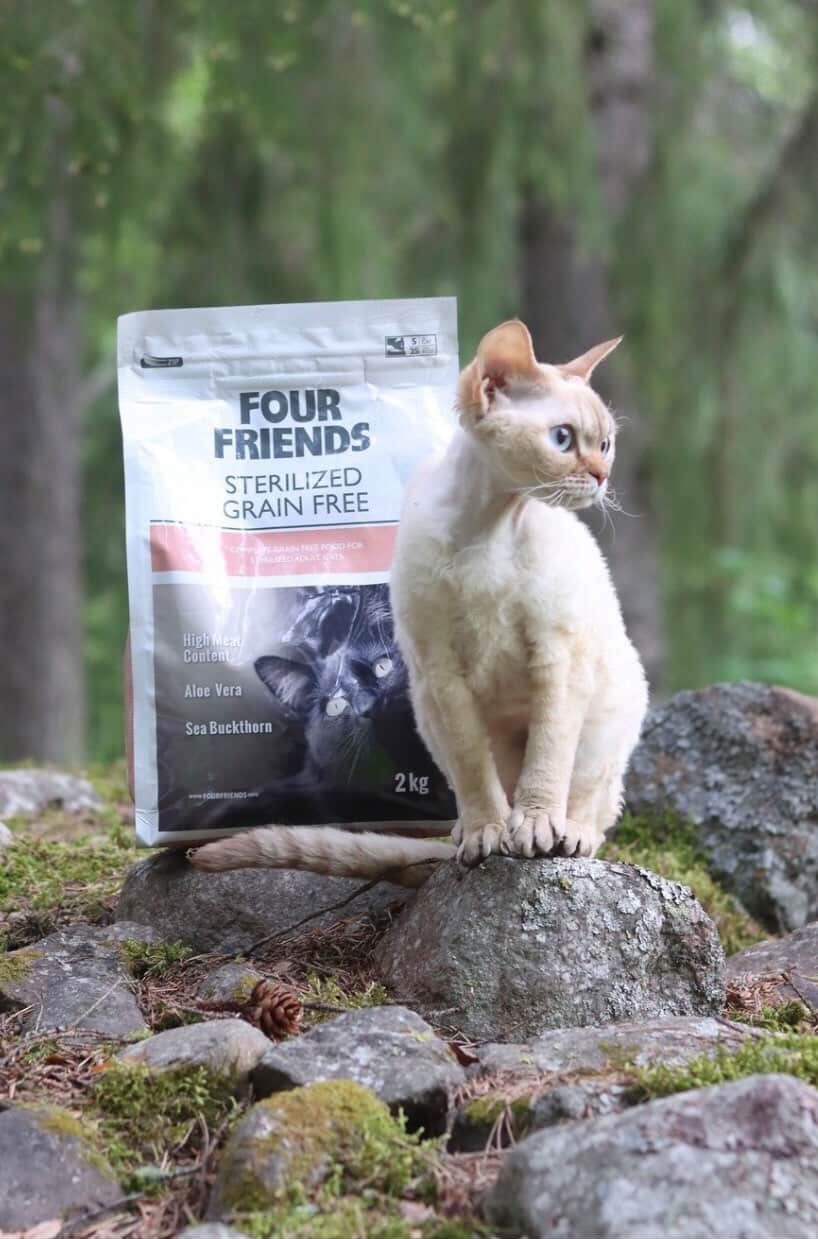 FourFriends kattmat