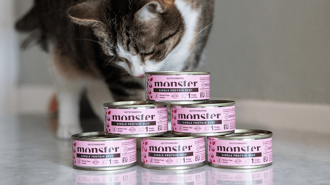 Monster Blötmat Katt