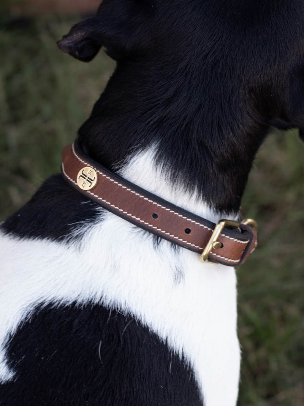 Arezzo Hundhalsband Brun