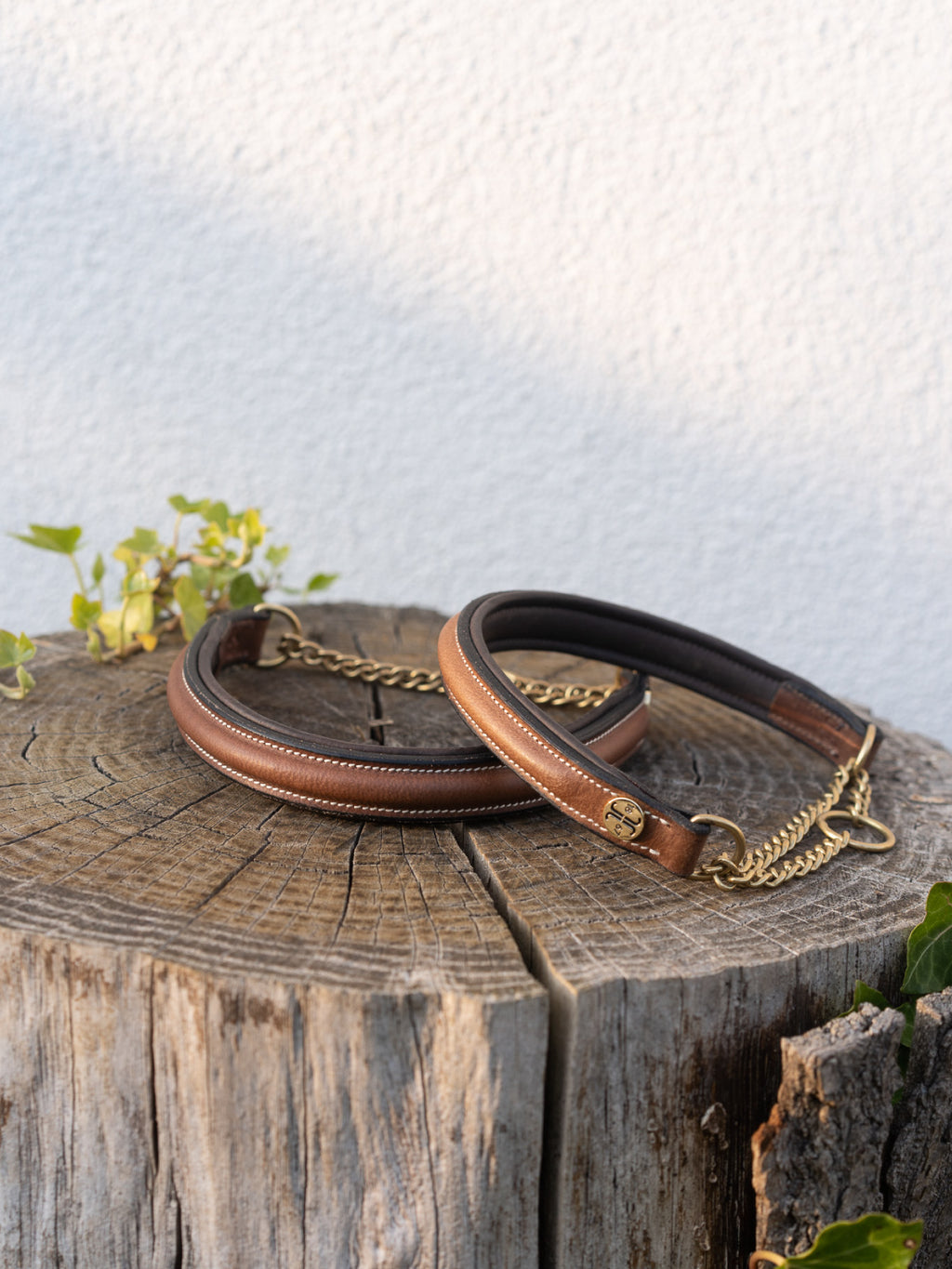 Asti Hundhalsband Halvstryp