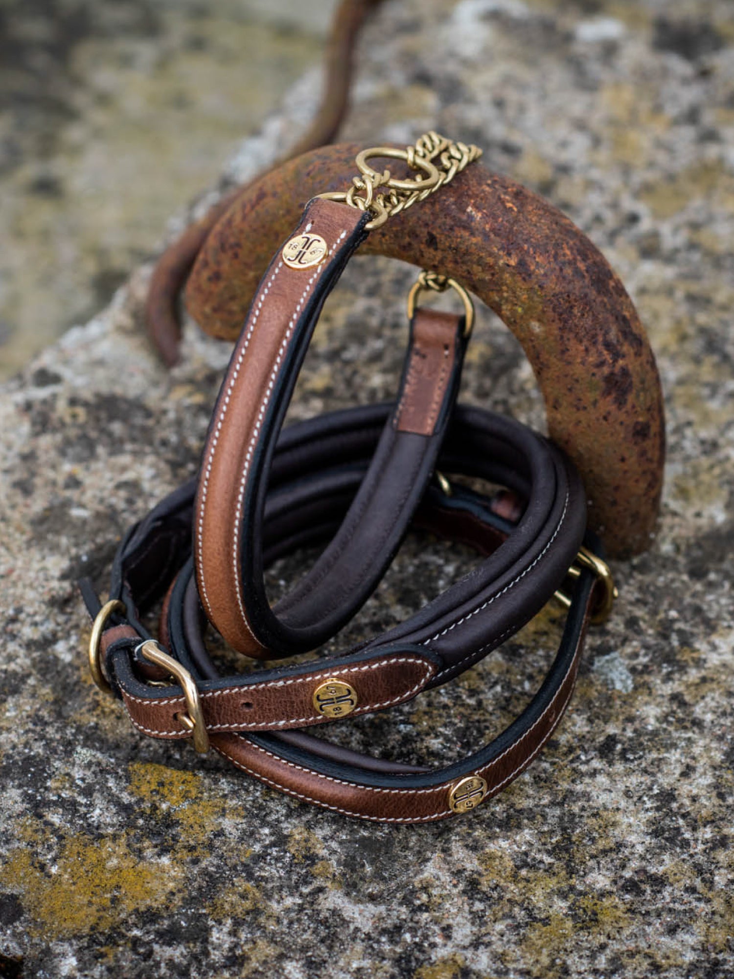 Asti Hundhalsband Halvstryp