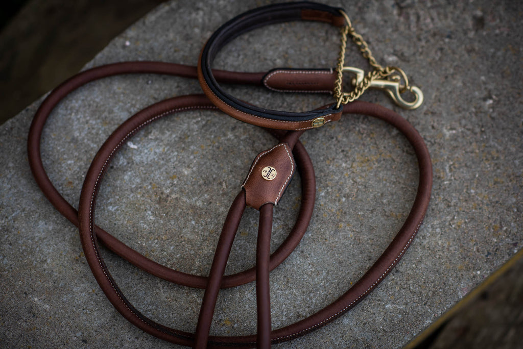 Asti Hundhalsband Halvstryp