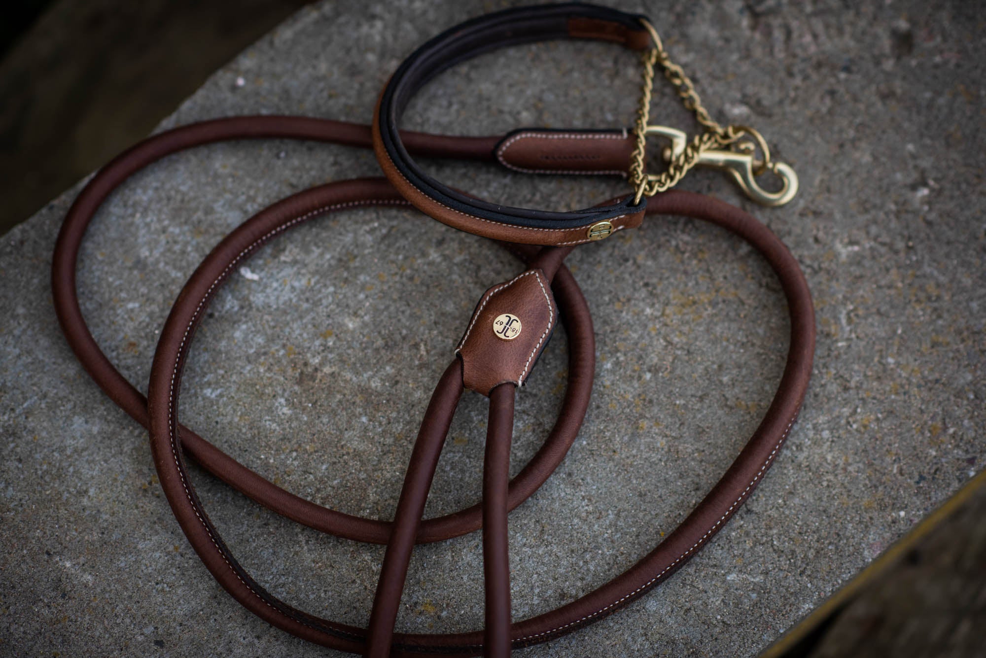 Asti Hundhalsband Halvstryp