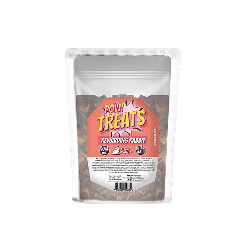 Treats Rewarding Rabbit